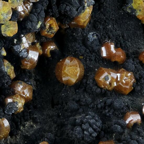 Campylite With Coronadite