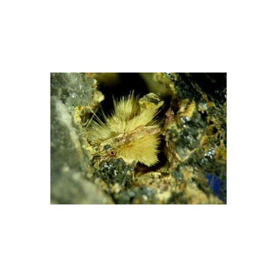 Klebelsbergite With Coquandite