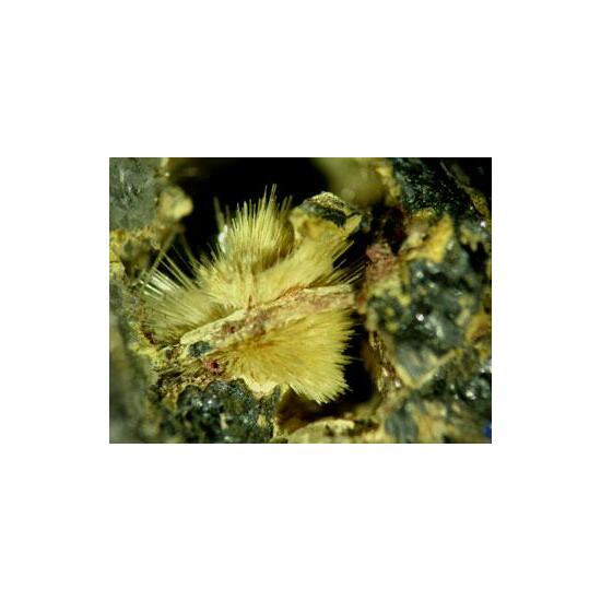 Klebelsbergite With Coquandite