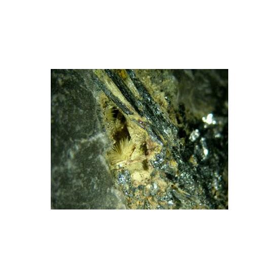 Klebelsbergite With Coquandite