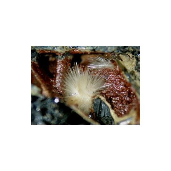 Klebelsbergite With Metastibnite