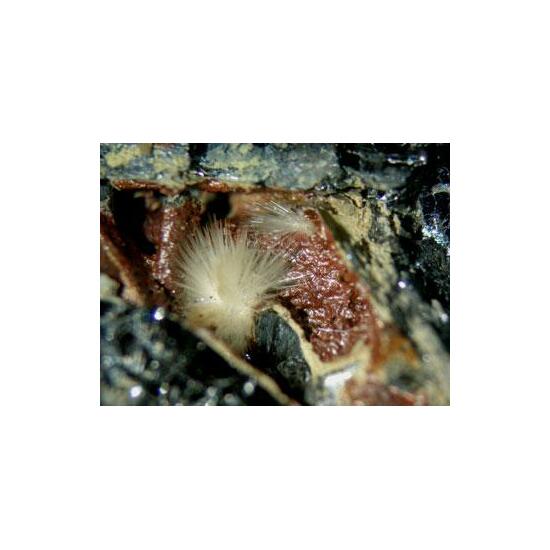 Klebelsbergite With Metastibnite