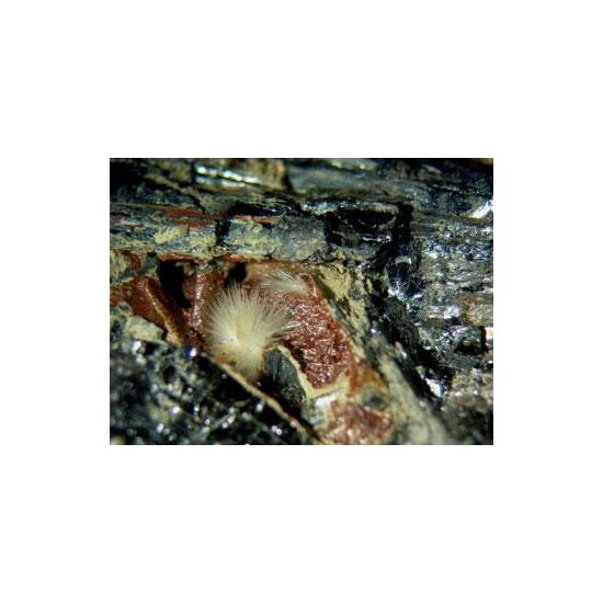 Klebelsbergite With Metastibnite