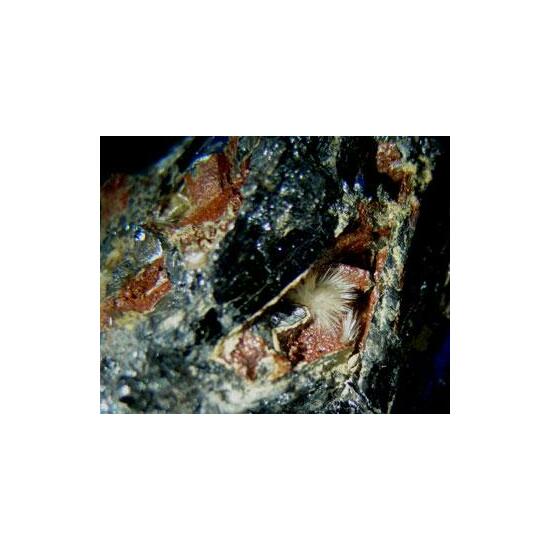 Klebelsbergite With Metastibnite