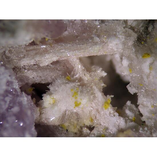 Krausite & Yavapaiite