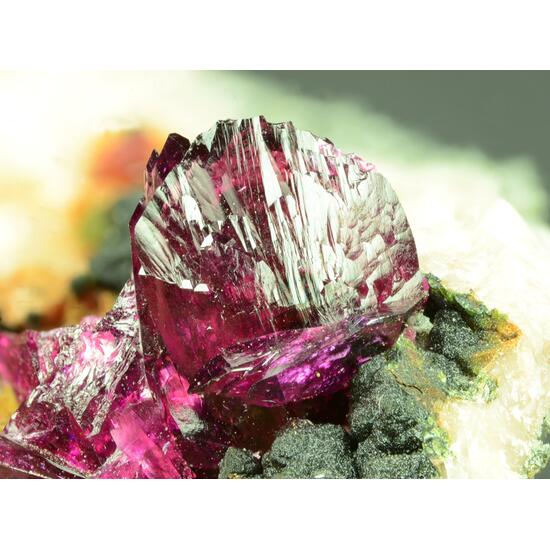 Wendwilsonite