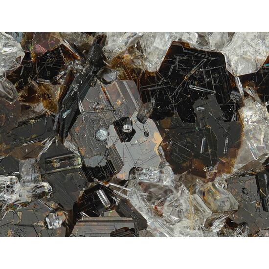 Oxyphlogopite & Nepheline