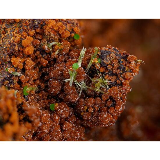 Olivenite Conichalcite & Jarosite