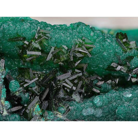 Olivenite & Cornwallite