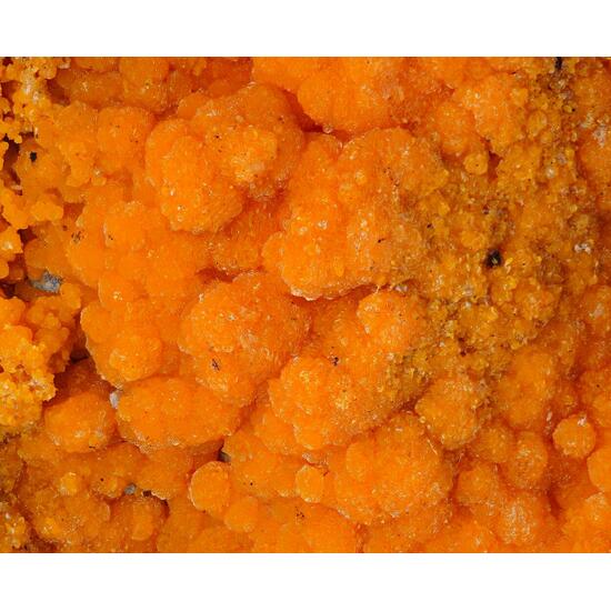 Descloizite & Vanadinite