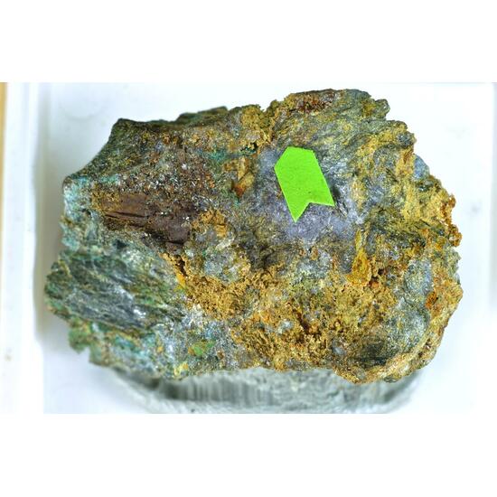 Wallkilldellite-(Fe) Atacamite