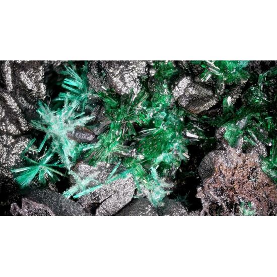 Brochantite & Atacamite