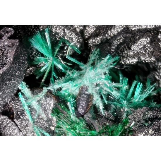 Brochantite & Atacamite