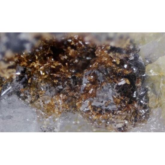 Cobaltlotharmeyerite