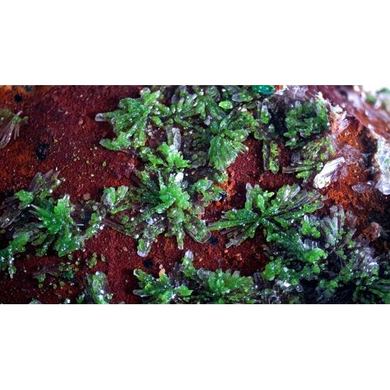 Duftite On Hemimorphite