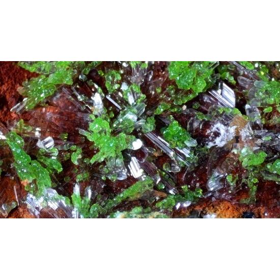 Duftite On Hemimorphite