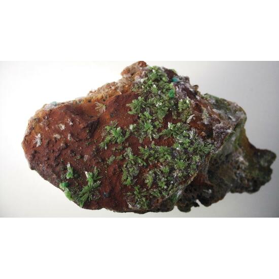 Duftite On Hemimorphite