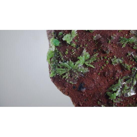 Duftite On Hemimorphite