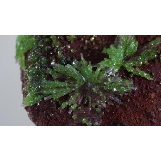 Duftite On Hemimorphite