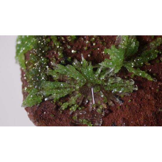 Duftite On Hemimorphite