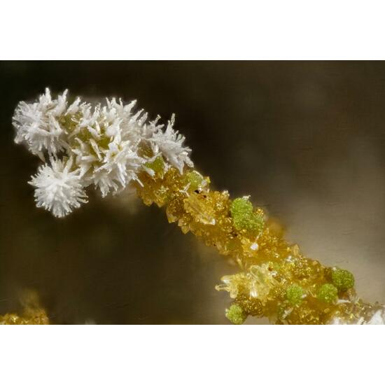 Pyromorphite & Malachite