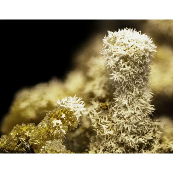 Pyromorphite & Mimetite