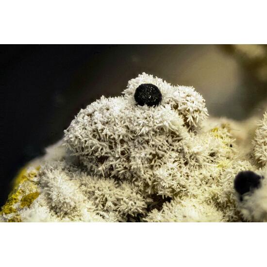 Pyromorphite & Mimetite