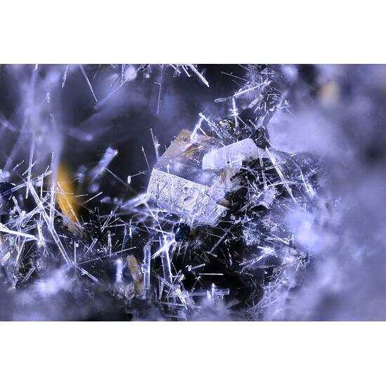 Nepheline Melilite & Hydroxylapatite