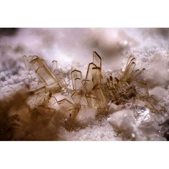 Englishite & Montgomeryite