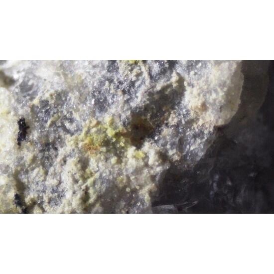 Alwilkinsite-(Y)