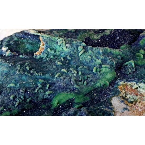 Zincolivenite Psm Wulfenite