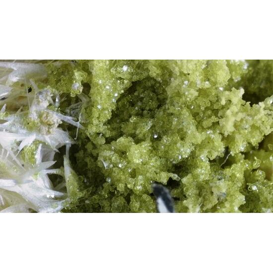 Slavíkite & Pickeringite