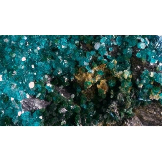 Spangolite Paratacamite & Cyanotrichite