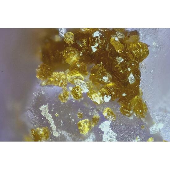 Metavoltine & Coquimbite