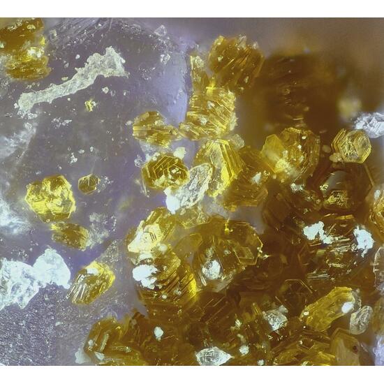 Metavoltine & Coquimbite