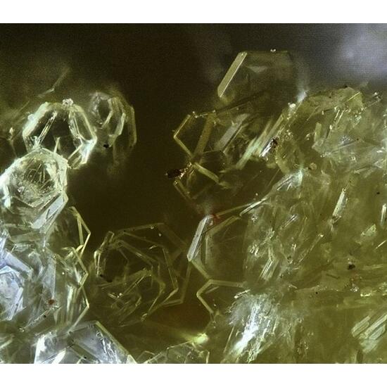 Slavíkite & Pickeringite