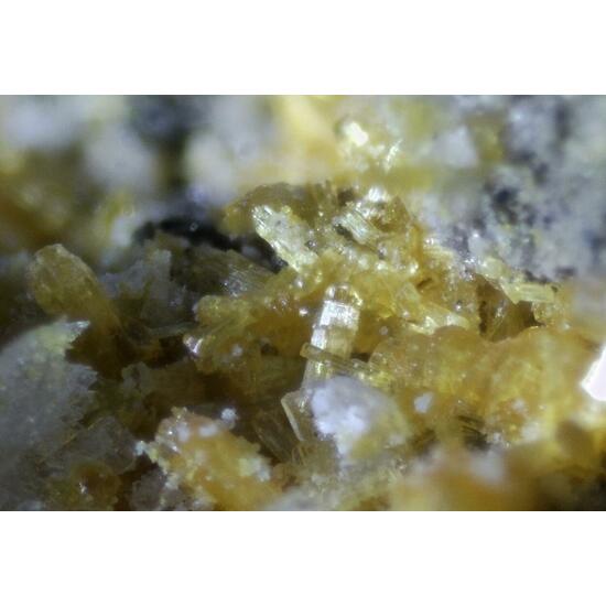 Parabutlerite