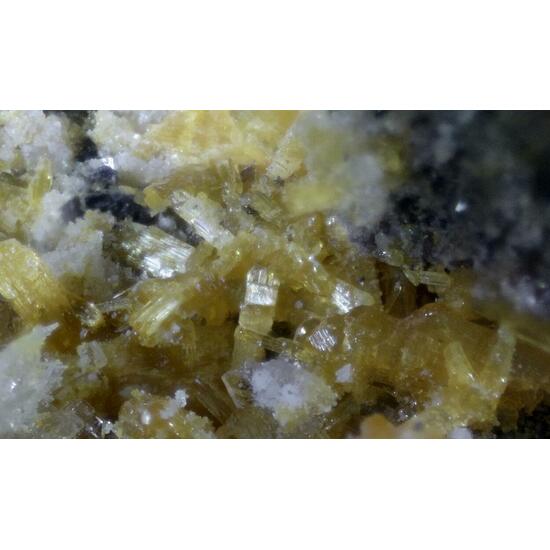 Parabutlerite
