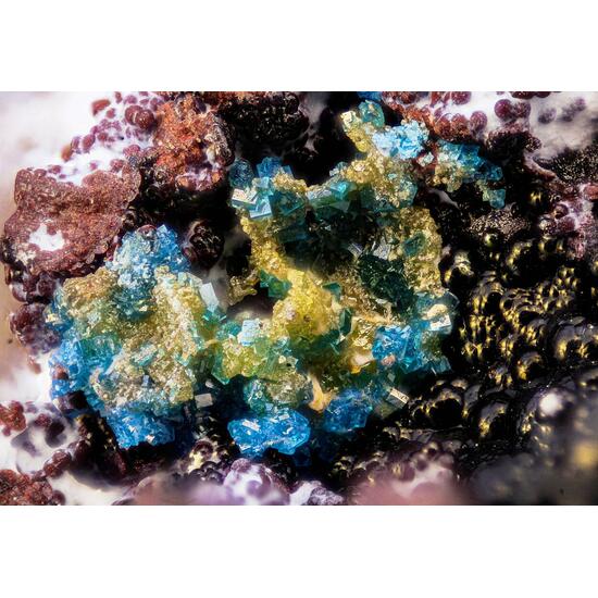 Boleite & Chlorargyrite