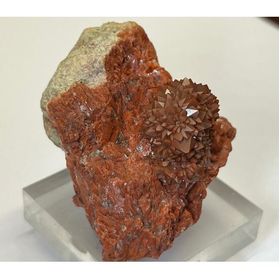 Jacinto De Compostela