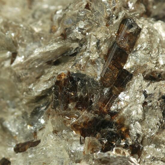 Tourmaline Var Dravite With Paragonite