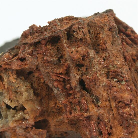 Quartz Var Eisenkiesel With Goethite