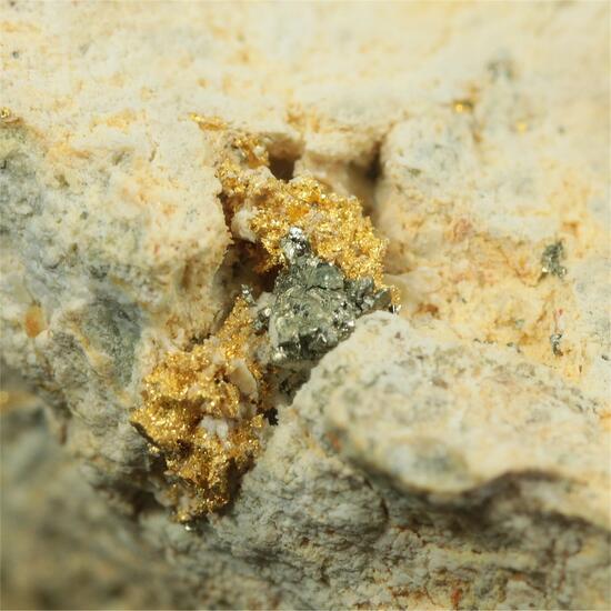 Native Gold With Sylvanite