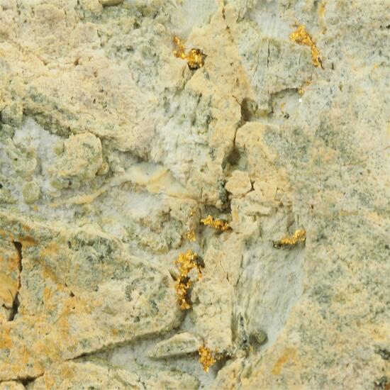 Native Gold With Sylvanite