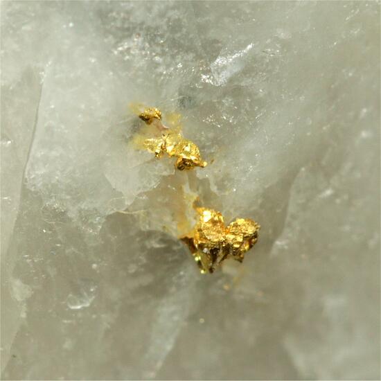 Native Gold With Pyrite
