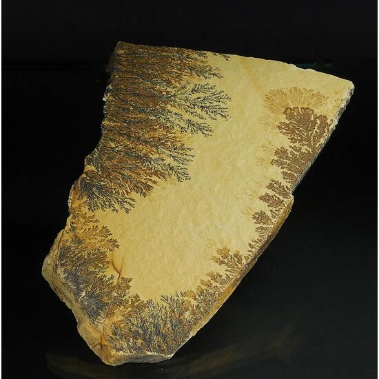 Manganese Oxides On Limestone