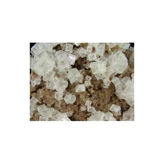 Burkeite With Halite