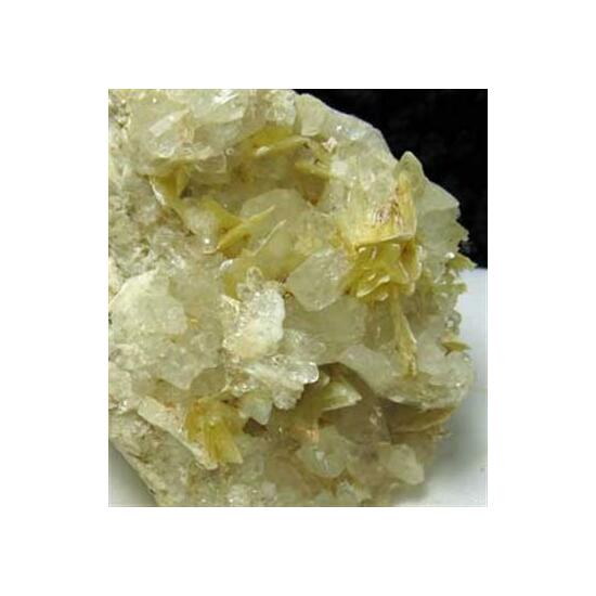 Muscovite