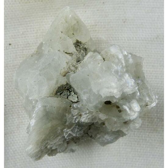 Tunellite