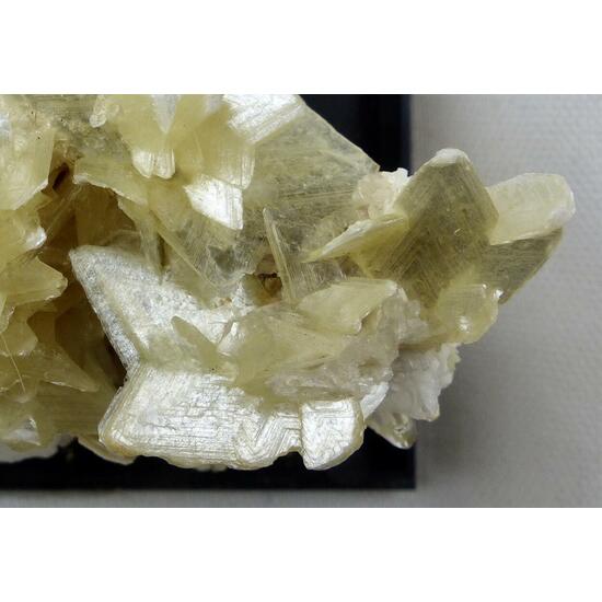 Muscovite